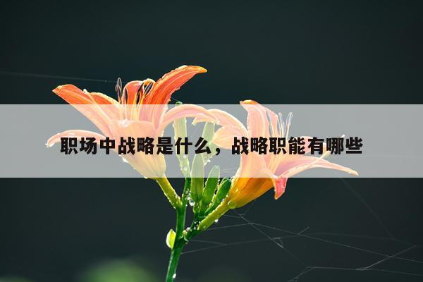 职场中战略是什么，战略职能有哪些