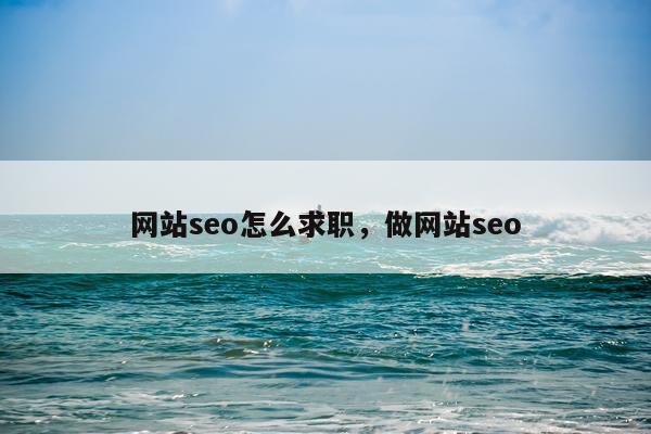 网站seo怎么求职，做网站seo