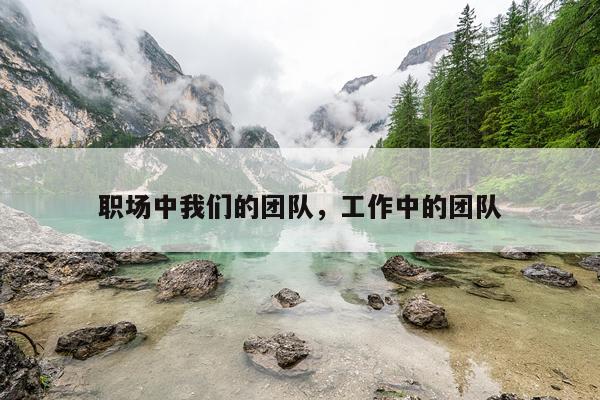 职场中我们的团队，工作中的团队