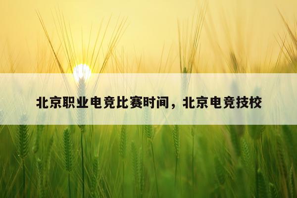 北京职业电竞比赛时间,北京电竞技校