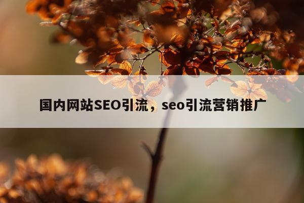 国内网站SEO引流，seo引流营销推广