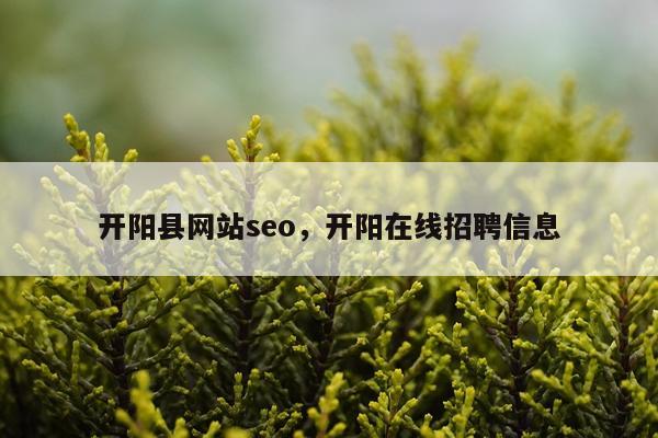 开阳县网站seo，开阳在线招聘信息