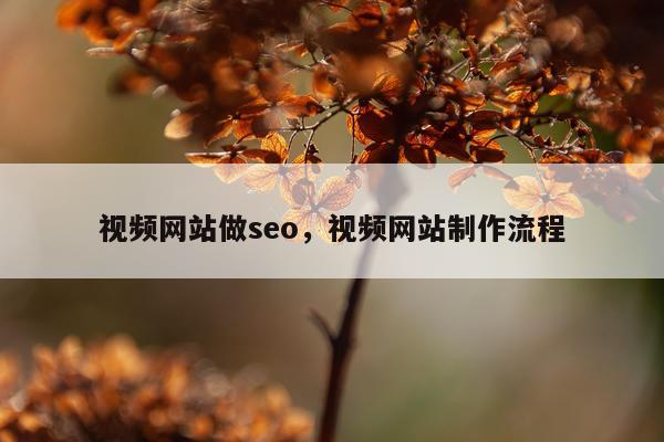 视频网站做seo，视频网站制作流程