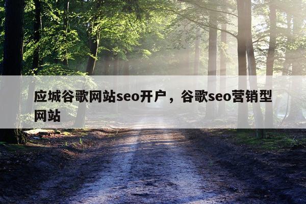 应城谷歌网站seo开户，谷歌seo营销型网站