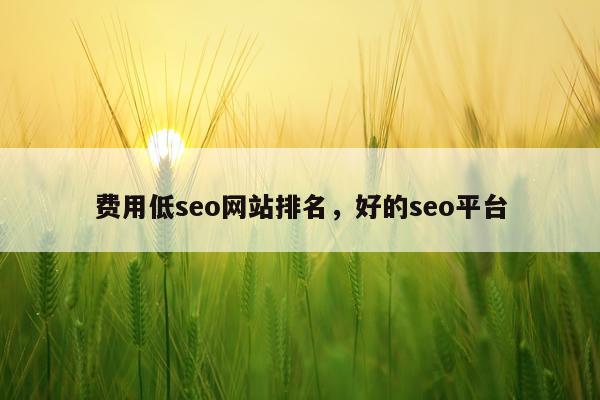 费用低seo网站排名，好的seo平台