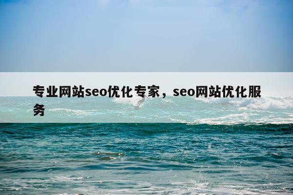 专业网站seo优化专家，seo网站优化服务