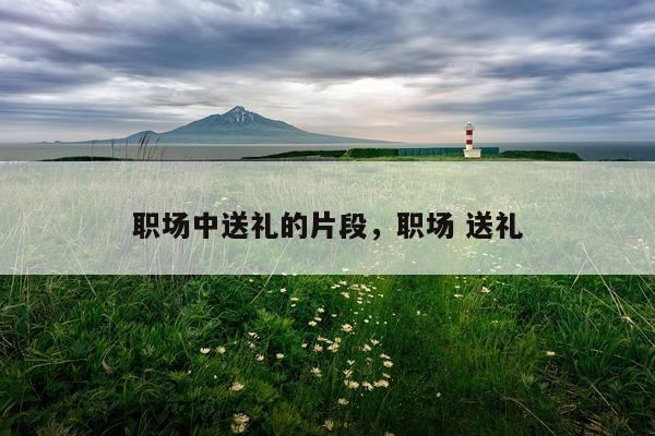 职场中送礼的片段，职场 送礼