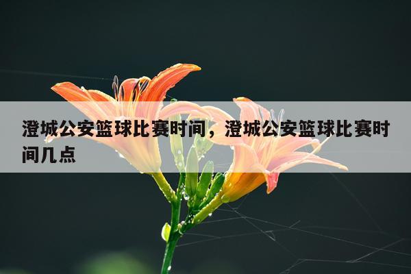 澄城公安篮球比赛时间，澄城公安篮球比赛时间几点