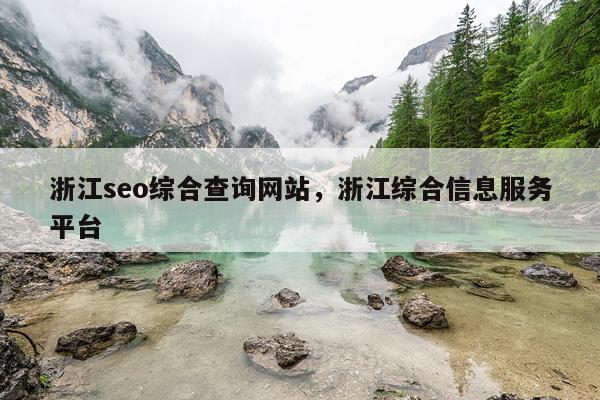 浙江seo综合查询网站，浙江综合信息服务平台