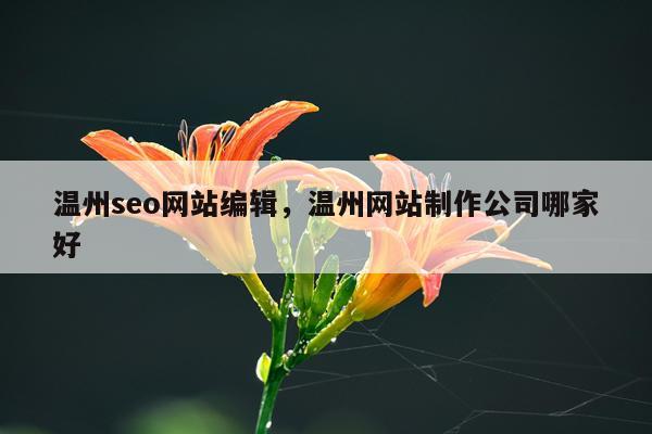 温州seo网站编辑,温州网站制作公司哪家好