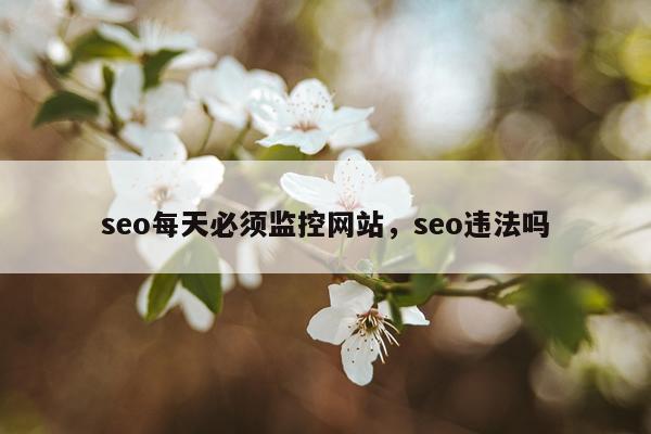 seo每天必须监控网站，seo违法吗