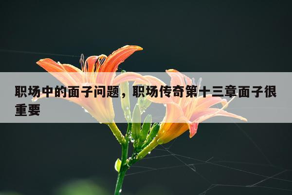 职场中的面子问题，职场传奇第十三章面子很重要