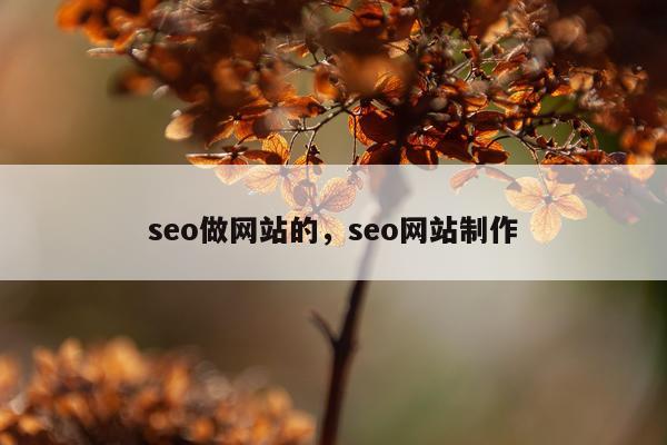 seo做网站的,seo网站制作