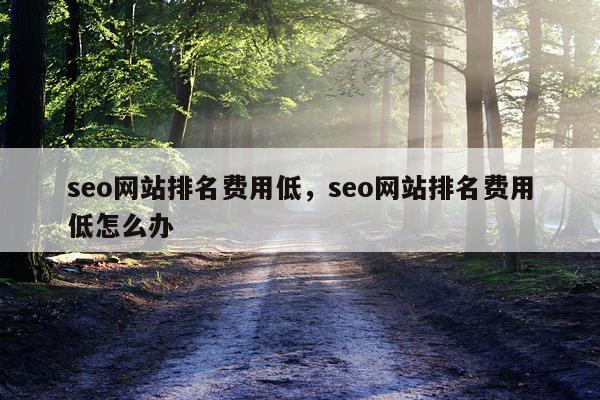 seo网站排名费用低，seo网站排名费用低怎么办