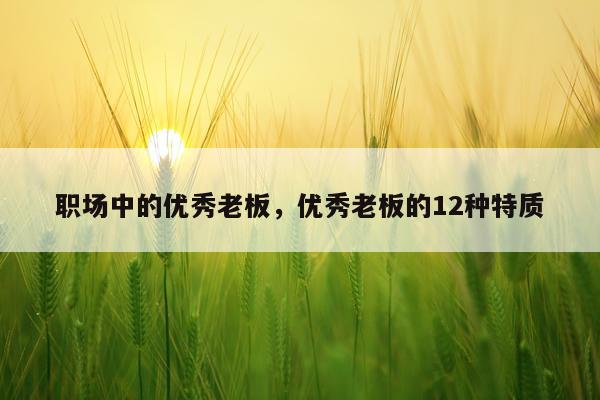 职场中的优秀老板，优秀老板的12种特质