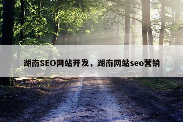 湖南SEO网站开发，湖南网站seo营销
