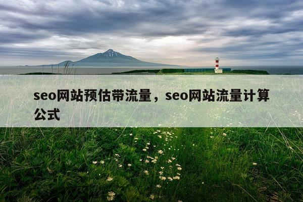 seo网站预估带流量，seo网站流量计算公式