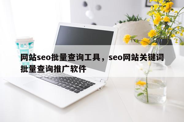 网站seo批量查询工具，seo网站关键词批量查询推广软件