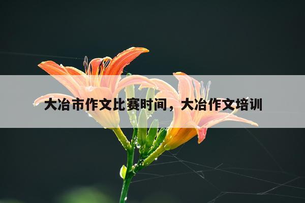 大冶市作文比赛时间，大冶作文培训