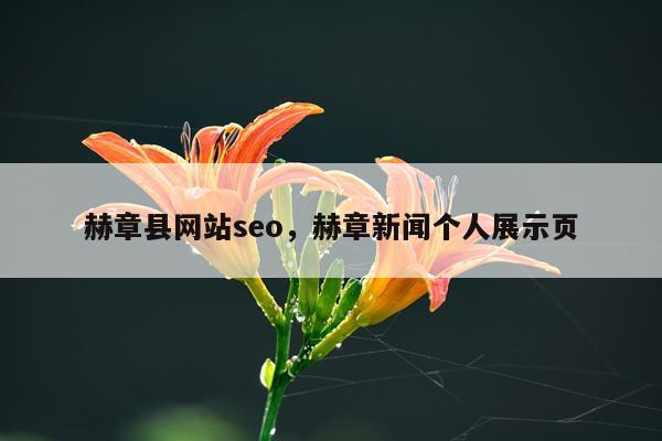 赫章县网站seo，赫章新闻个人展示页