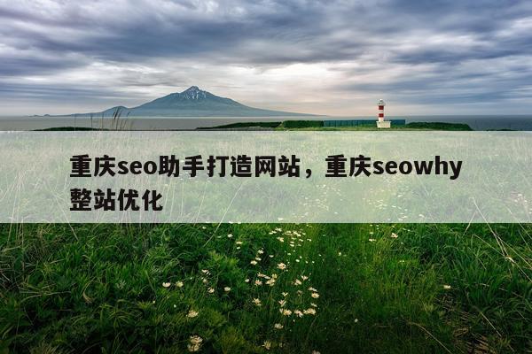重庆seo助手打造网站，重庆seowhy整站优化