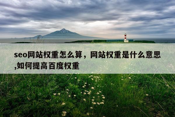 seo网站权重怎么算，网站权重是什么意思,如何提高百度权重