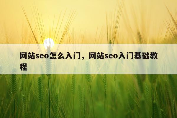 网站seo怎么入门，网站seo入门基础教程