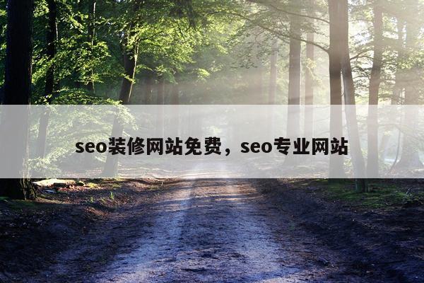 seo装修网站免费，seo专业网站