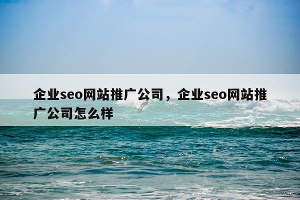 企业seo网站推广公司，企业seo网站推广公司怎么样