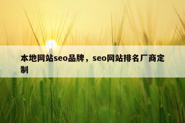 本地网站seo品牌,seo网站排名厂商定制