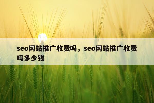 seo网站推广收费吗,seo网站推广收费吗多少钱