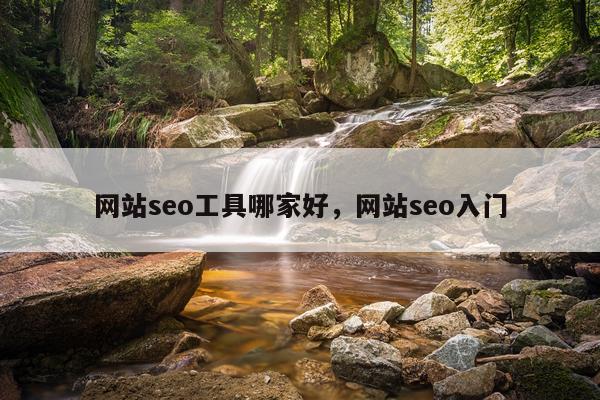 网站seo工具哪家好，网站seo入门