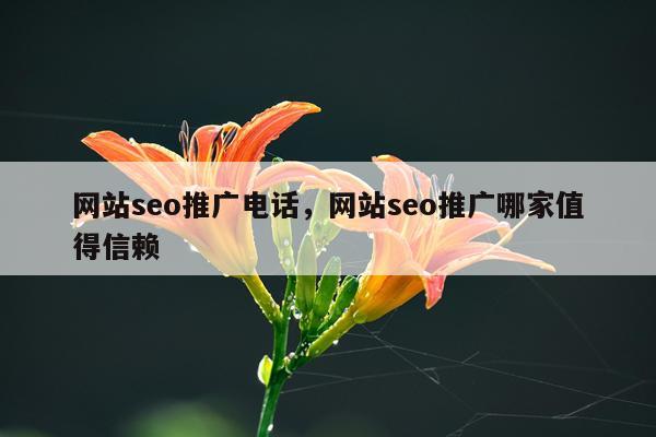 网站seo推广电话,网站seo推广哪家值得信赖