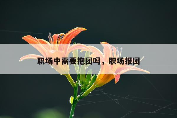 职场中需要抱团吗，职场报团