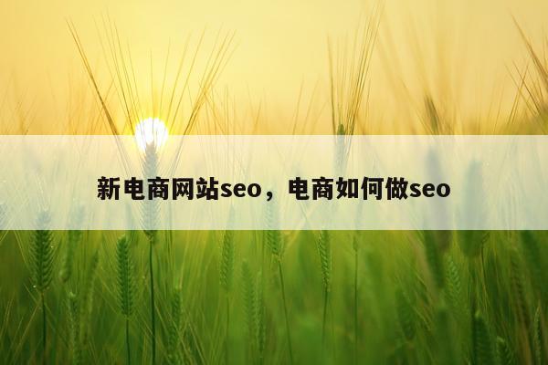 新电商网站seo，电商如何做seo