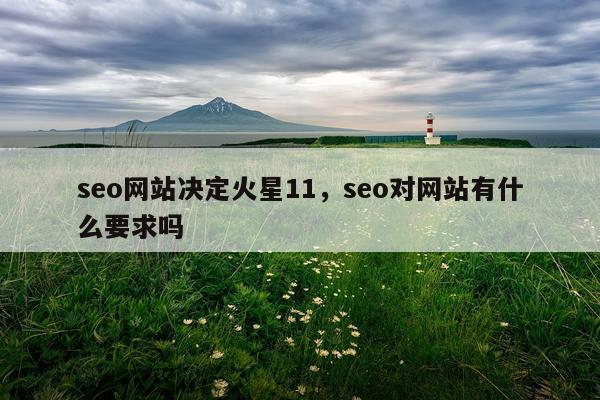 seo网站决定火星11，seo对网站有什么要求吗