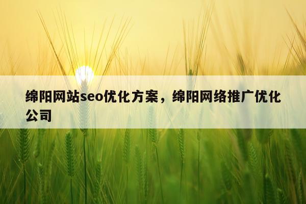 绵阳网站seo优化方案，绵阳网络推广优化公司