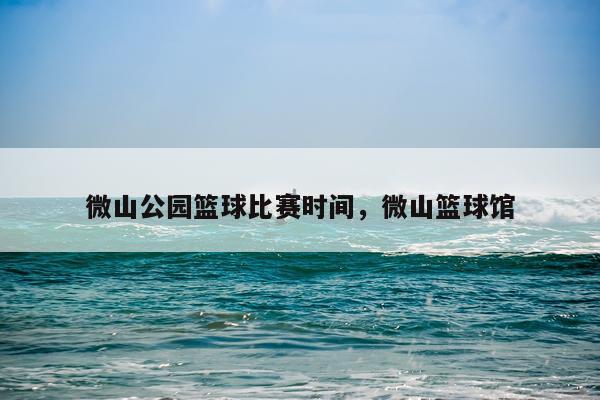 微山公园篮球比赛时间，微山篮球馆