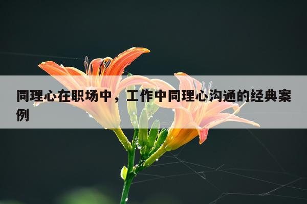 同理心在职场中，工作中同理心沟通的经典案例