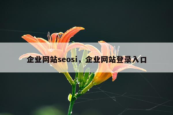 企业网站seosi,企业网站登录入口