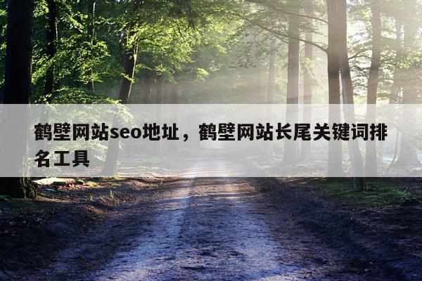 鹤壁网站seo地址，鹤壁网站长尾关键词排名工具