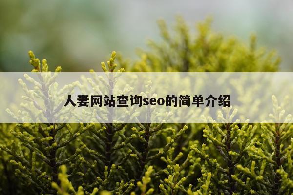 人妻网站查询seo的简单介绍