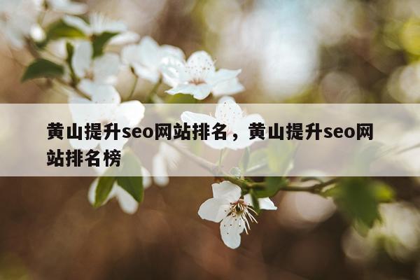 黄山提升seo网站排名，黄山提升seo网站排名榜