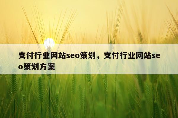 支付行业网站seo策划，支付行业网站seo策划方案