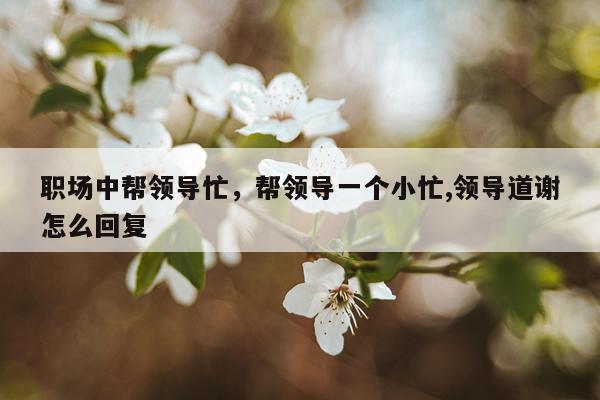 职场中帮领导忙，帮领导一个小忙,领导道谢怎么回复