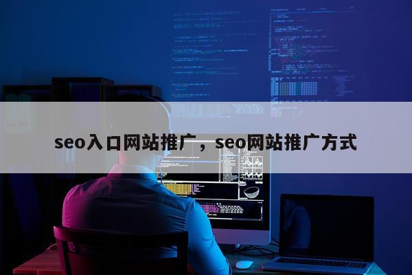 seo入口网站推广,seo网站推广方式