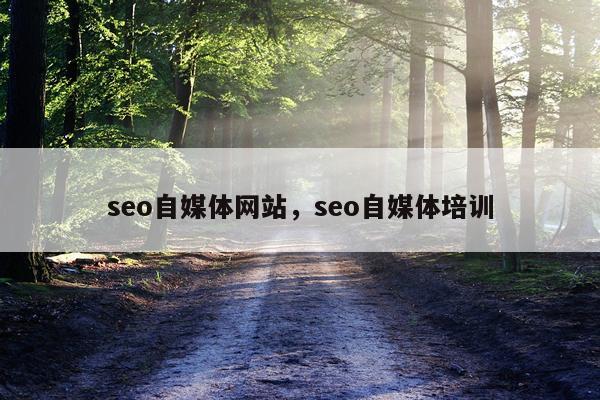 seo自媒体网站，seo自媒体培训