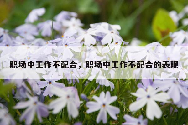 职场中工作不配合，职场中工作不配合的表现