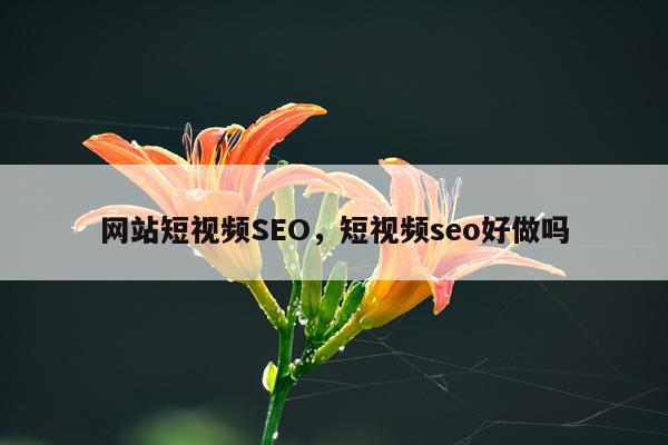 网站短视频SEO，短视频seo好做吗