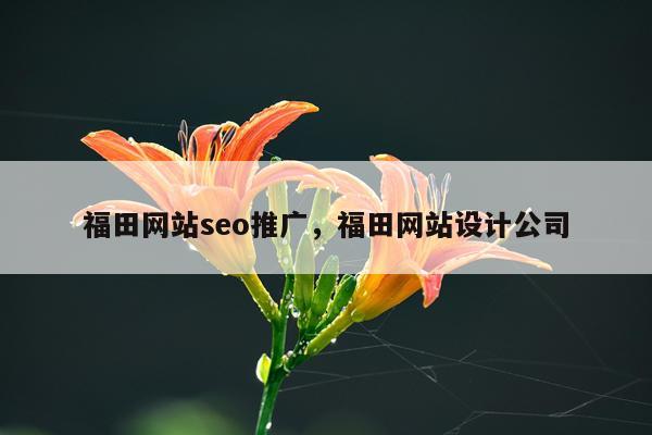 福田网站seo推广，福田网站设计公司